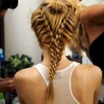 2015 Braid Hairstyles – Back