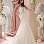 Wedding Dresses 2015