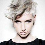 Short Hairstyles – 105