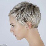 Short Hairstyles – 73