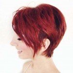 Short Hairstyles – 528