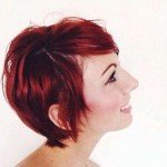 Short Hairstyles – 529