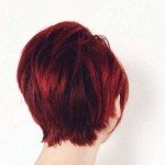 Short Hairstyles – 530