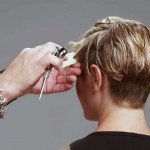 Hollywood Collection Short Hair Cut