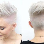 Short Hairstyles White Hair