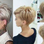 Short Hairstyle Evening