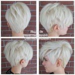 Short Hairstyles Cuts – 3