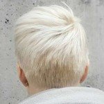 Short Hairstyle 2017 – 4