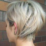 Short Hairstyles Gallery – 3