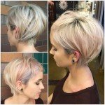 Short Hairstyles Gallery – 4