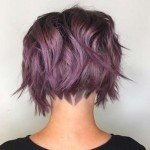 2017 Short Hairstyle – 4