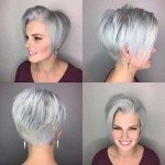 Short Hairstyle Grey 2017 – 4