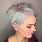 Short Hairstyle Grey 2017 – 8