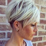 Short Hairstyles For 2017 – 3