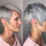 Short Hairstyle Grey Hair – 1