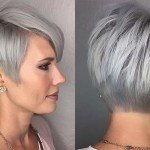 Short Hairstyle Grey Hair