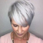 Short Hairstyle Grey Hair – 2