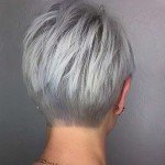 Short Hairstyle Grey Hair – 3