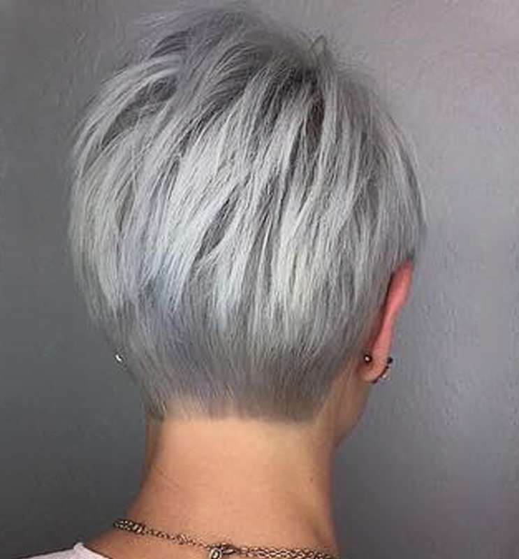Short Hairstyle Grey Hair - 1