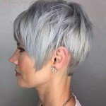 Short Hairstyle Grey Hair – 6