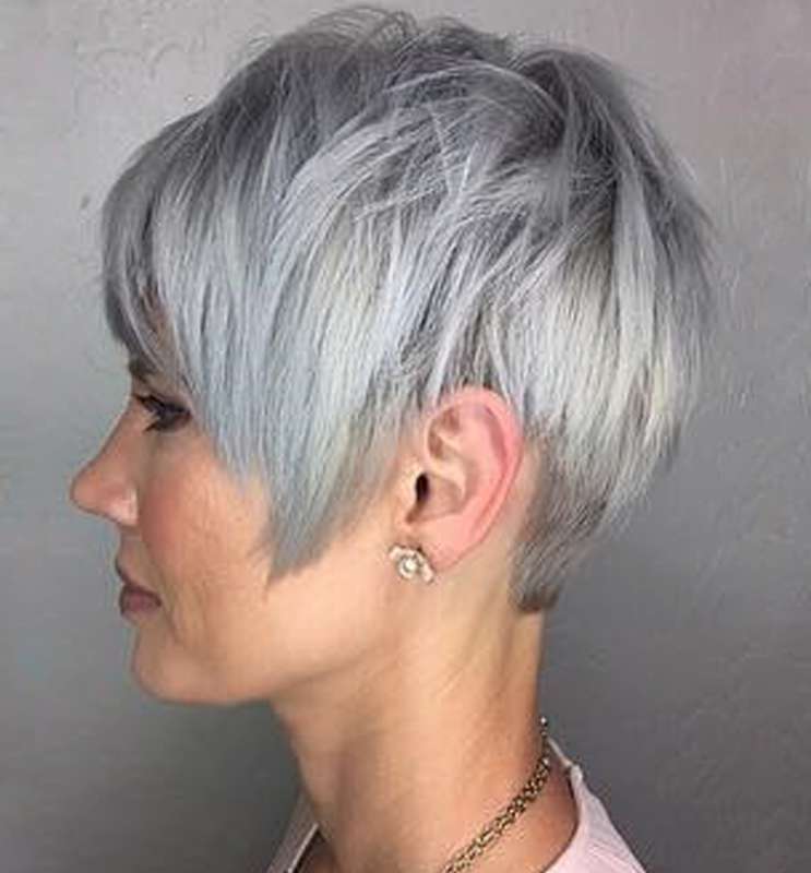 Short Hairstyle Grey Hair - 6