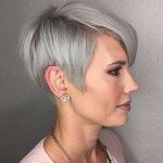 Short Hairstyle Grey Hair – 7