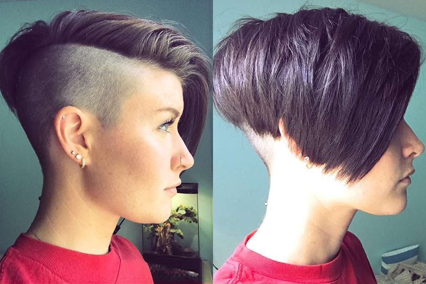 Amanda Loha Short Hairstyles